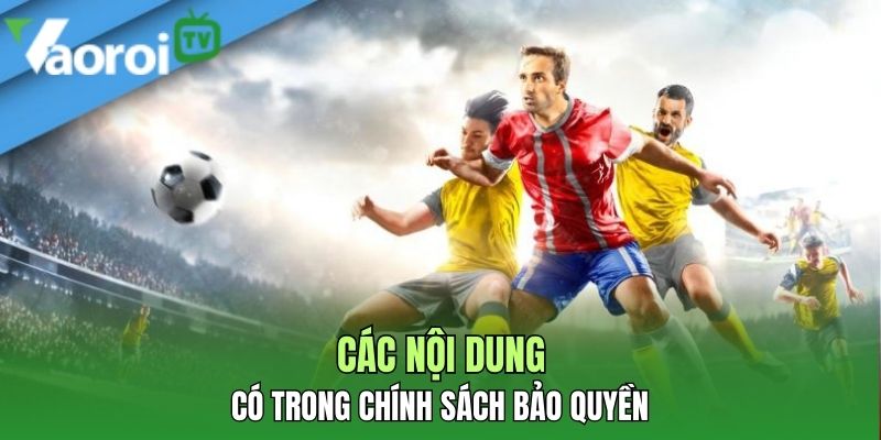 cac noi dung co trong chinh sach bao quyen