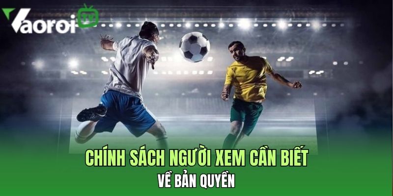 chinh sach nguoi xem can biet ve ban quyen